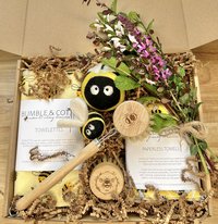 Eco Bee Box