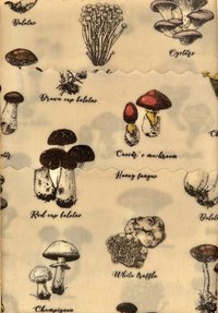 BEESWAX WRAPS 3-pack Mushroom-Lover 