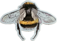 Bumblebee Sticker
