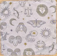 Zodiac Paperless Towels