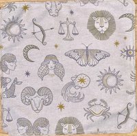 Zodiac Astrology Paperless Towels
