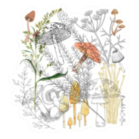 Mushroom Collage Sticker