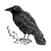Raven&Twigs Sticker