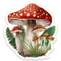 Amanita Mushroom Sticker