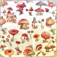 Natural Mushrooms Paperless Towels || Mushroom Lover Unpaper Towels 