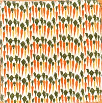 Carrots Paperless Towels