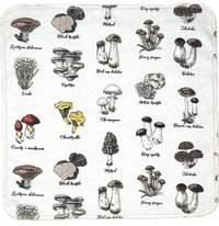 Scientific Mushrooms Paperless Towels