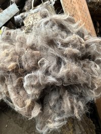 Llama Fiber in Bulk || 5lb & 10lb Pre-Boxed