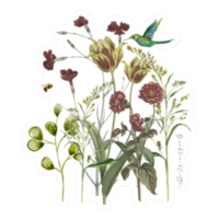 Hummingbird Floral Sticker