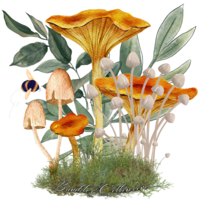 Chanterelle Forest Sticker