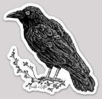 Raven&Twigs Sticker