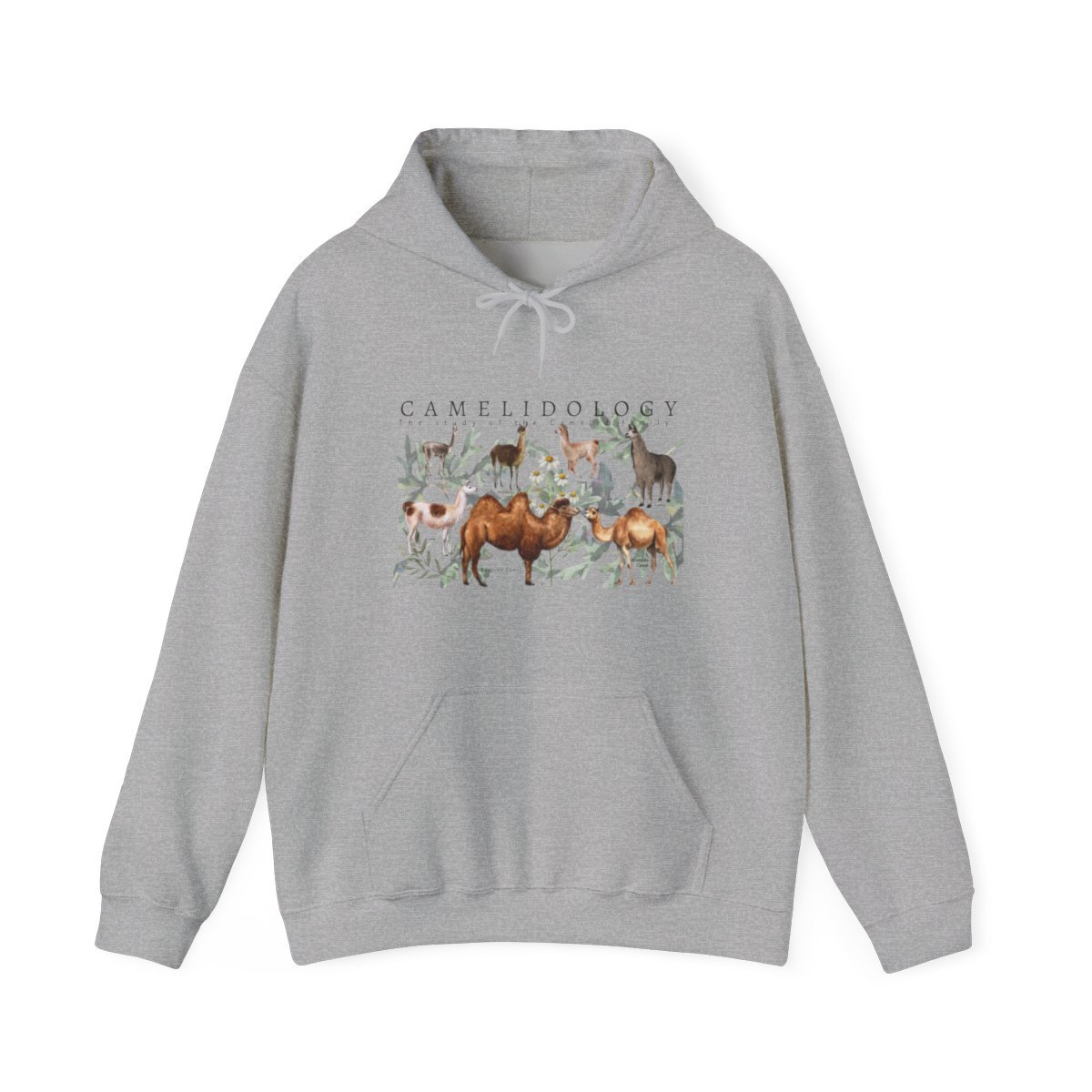 CAMELIDOLOGY Hoodie