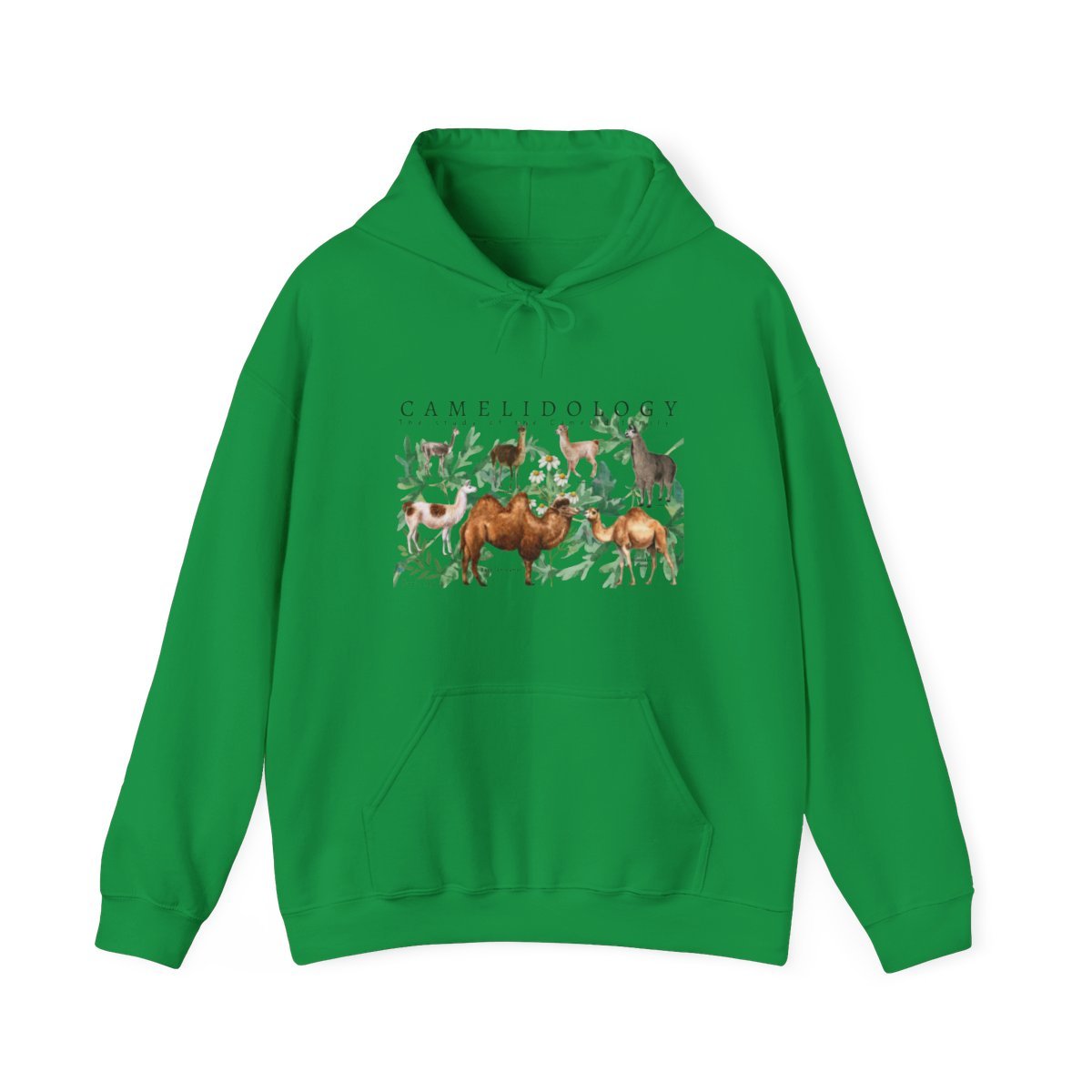 CAMELIDOLOGY Hoodie