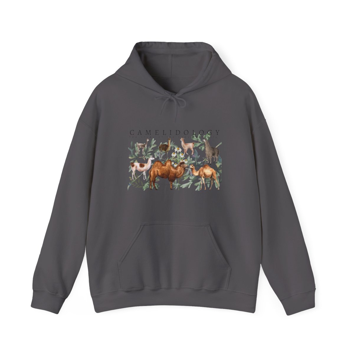 CAMELIDOLOGY Hoodie