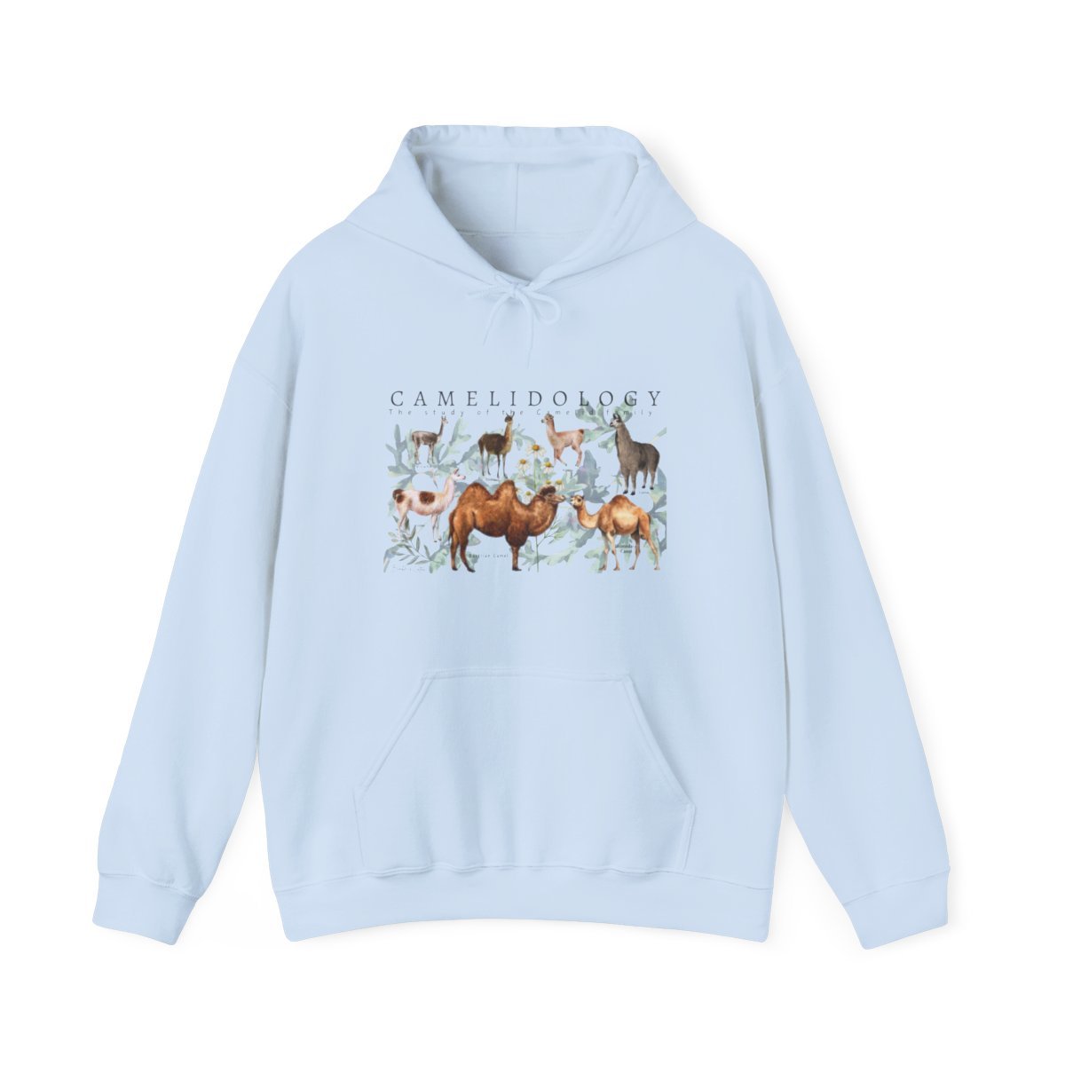 CAMELIDOLOGY Hoodie