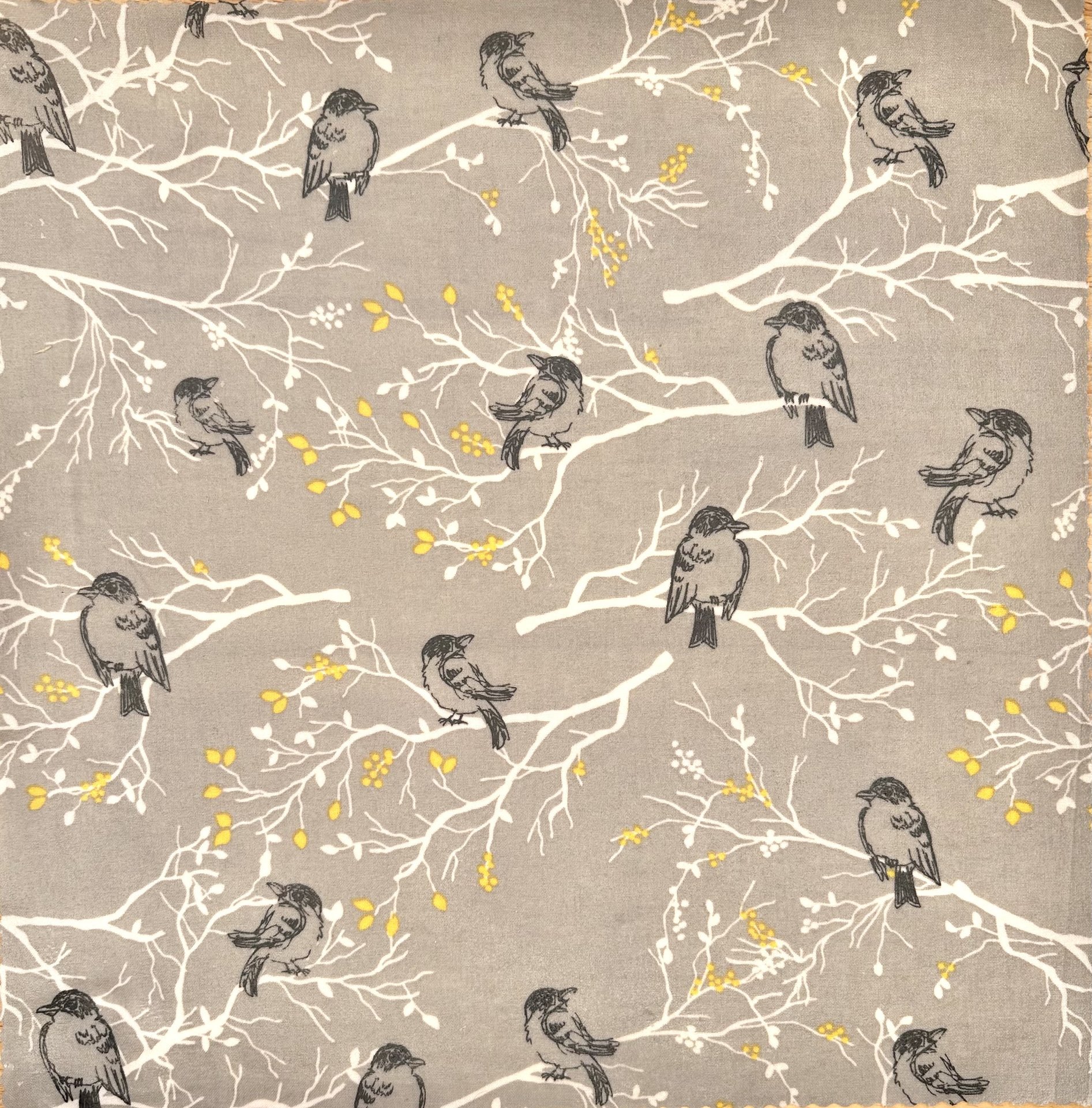 BEESWAX WRAPS 4-pack Birds&Bees