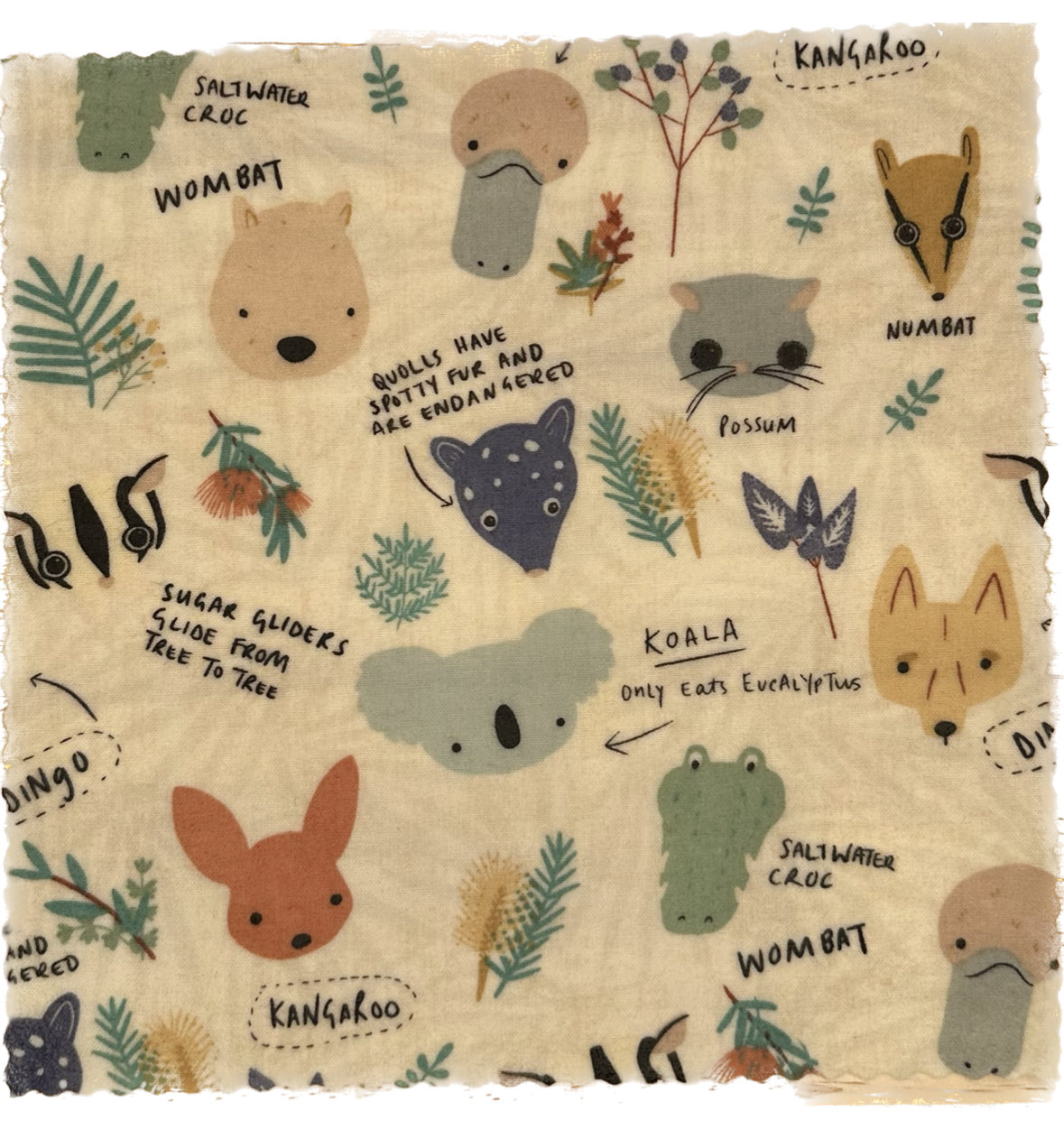 BEESWAX WRAPS 4-pack Bear&Fox