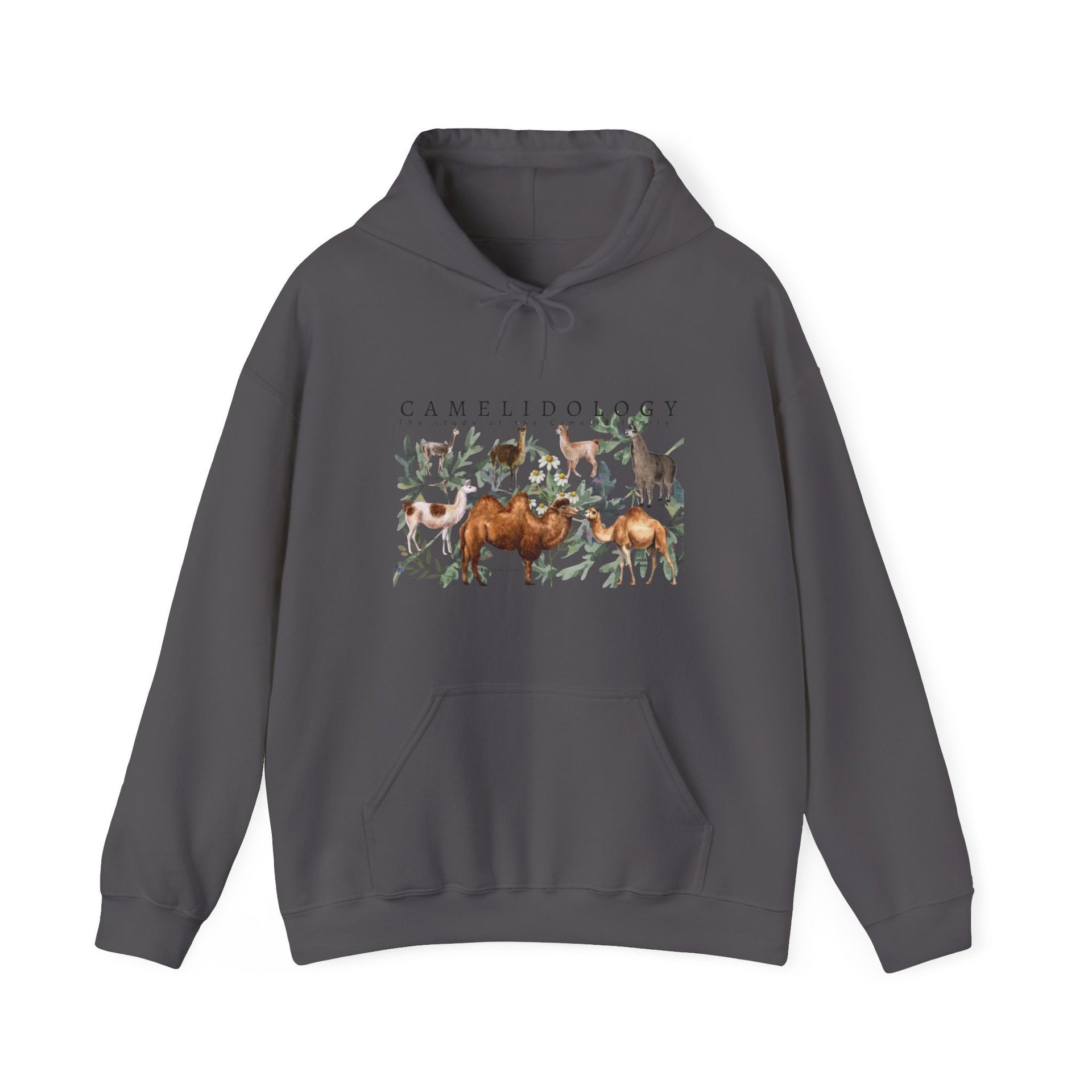 CAMELIDOLOGY Hoodie || CAMELID Hoodie || Llama Alpaca Camel Hooded Sweatshirt Gender Neutral Gift