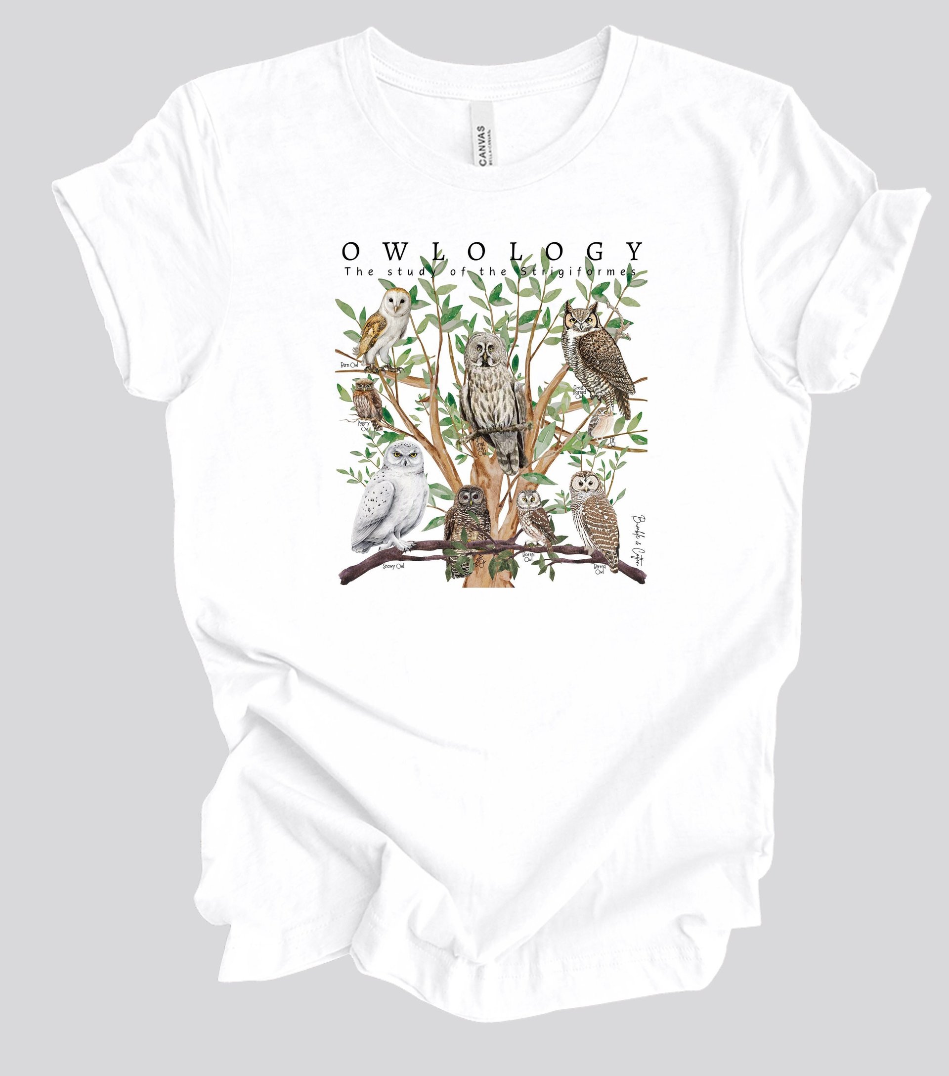 OWLOLOGY Tee Shirt || Owl T-Shirt || Wildlife Bird Eco T-shirt || Raptors Owls Strigiformes Gender Neutral Gift