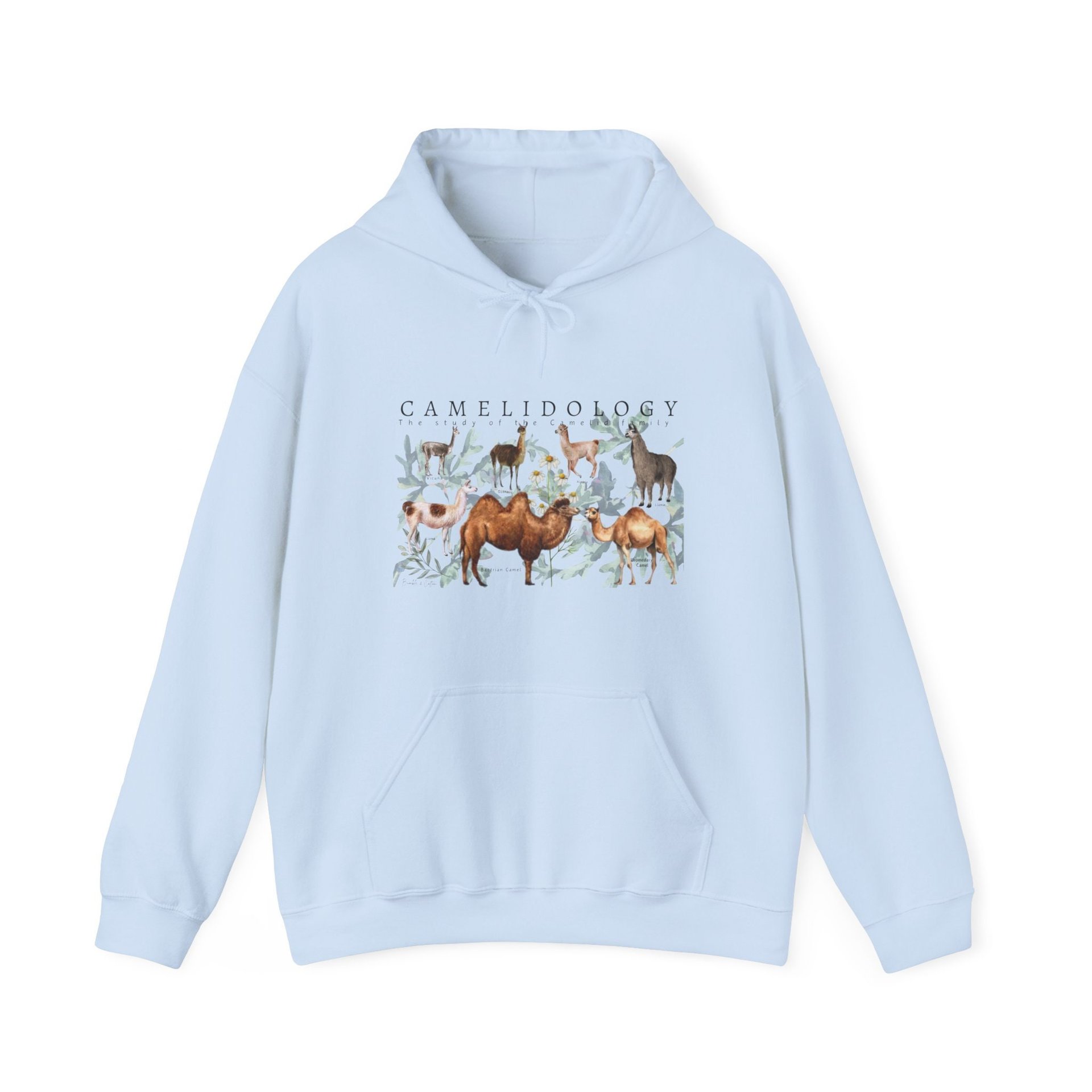CAMELIDOLOGY Hoodie || CAMELID Hoodie || Llama Alpaca Camel Hooded Sweatshirt Gender Neutral Gift
