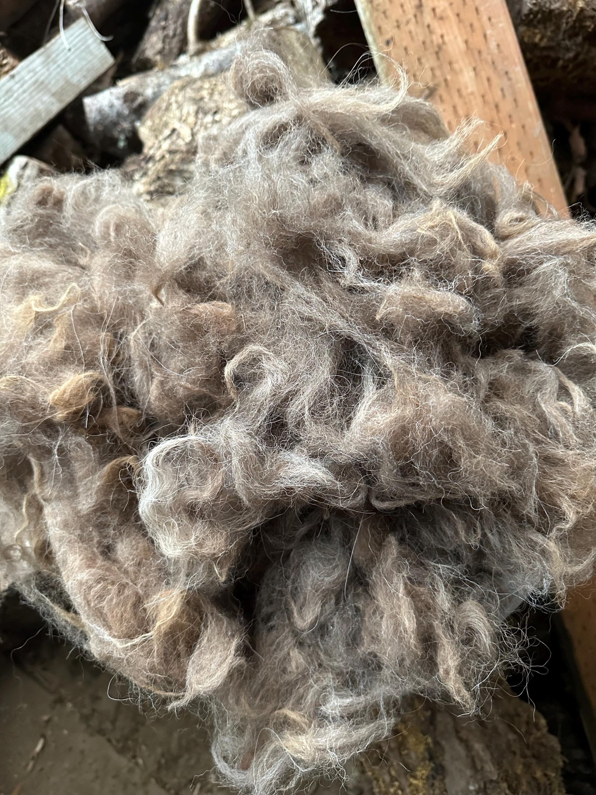 Llama Fiber in Bulk || 5lb & 10lb Pre-Boxed