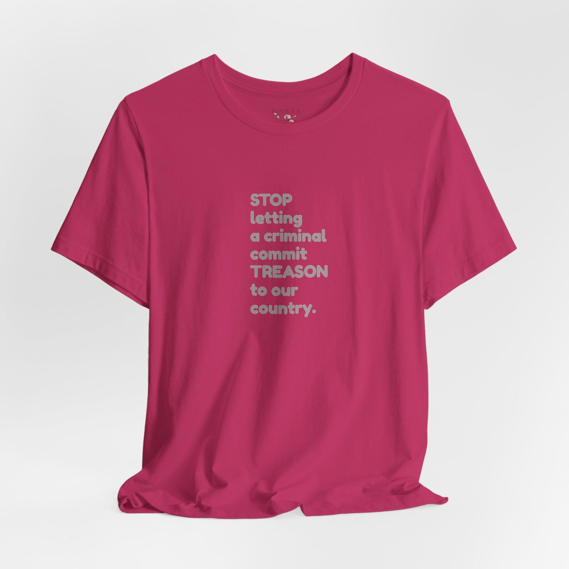Treason T-Shirt || Stop Treason Tee Shirt || USA humanitarian T-shirt