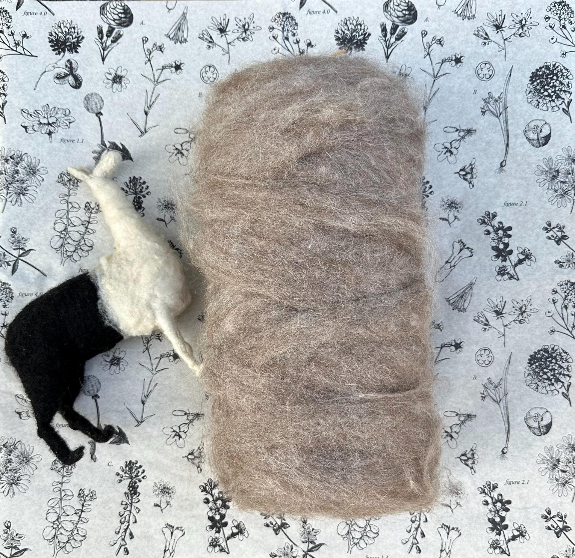 Llama Roving || processed & ready to spin 