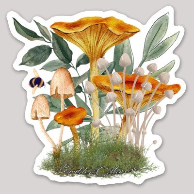 Chanterelle Forest Sticker