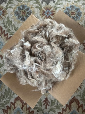 Llama Fiber by the pound 