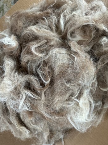 Llama Fiber in Bulk || 5lb & 10lb Pre-Boxed