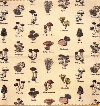 BEESWAX WRAP Single XL  Mushroom-Lover