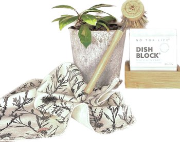DISH BLOCK dish-soap