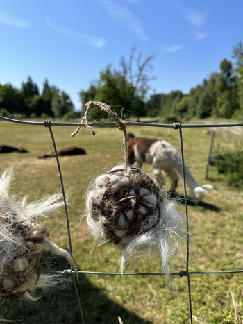 Bird Nest Ball || Llama-fiber Bird Nesting Ball