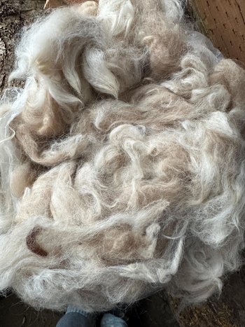 Llama Fiber by the pound 