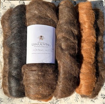 Llama Roving || processed & ready to spin 