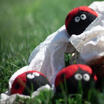 Eco Dryer Balls: LADYBUGS Trio - Set of 3 w/bag