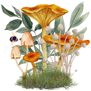 Chanterelle Forest Sticker 