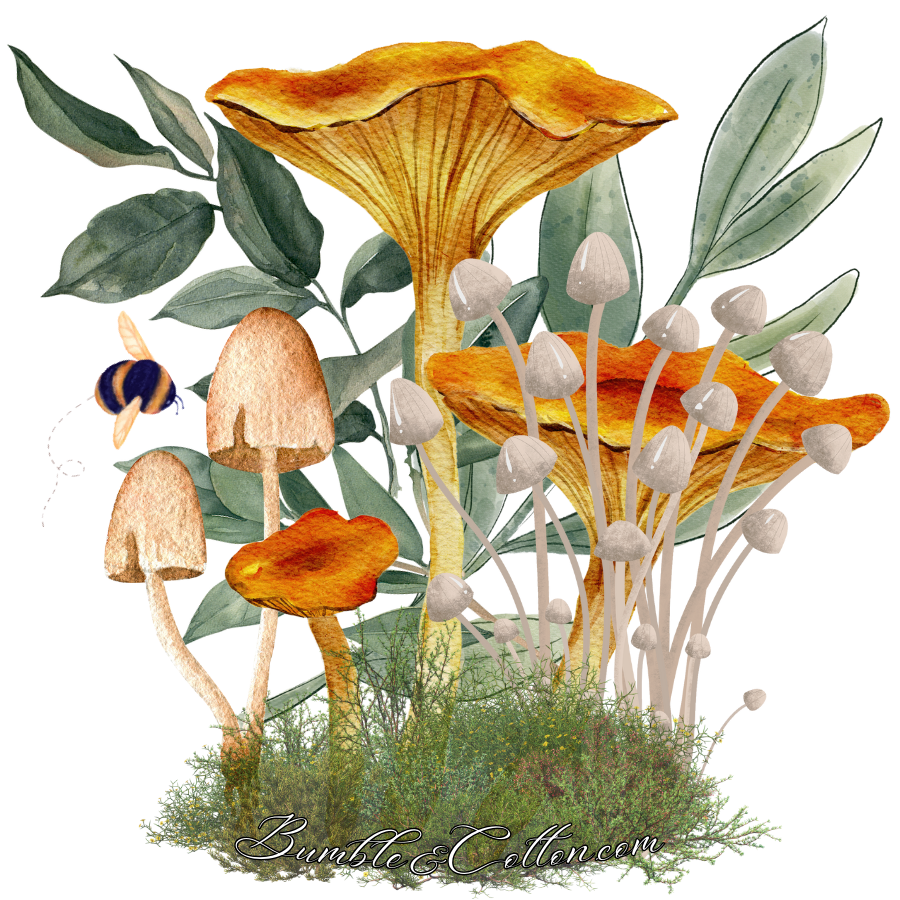 Chanterelle Forest Sticker 